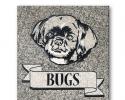 Bugs Plaque